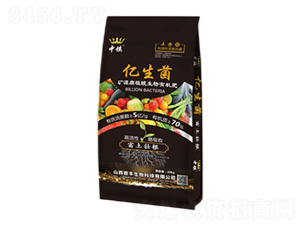 �VԴ��ֲ�������ЙC(j��)��-�|����-���(zh��n)-�x�S����