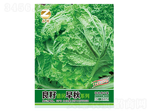 �ײ˷N��-���ѵ�������ϵ��-�����r(n��ng)�I(y��)