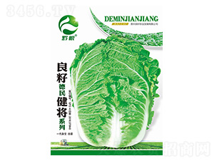 �ײ˷N��-���ѵ��񽡌�ϵ��-�����r(n��ng)�I(y��)