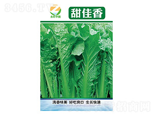 �ײ˷N��-�����-�����r(n��ng)�I(y��)