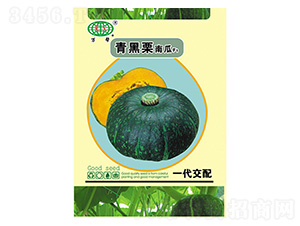 �����-�f��N�I(y��)