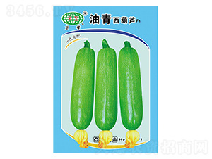 ���������J-�f��N�I(y��)