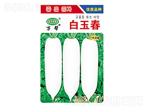 �����}���N��-�f��N�I(y��)