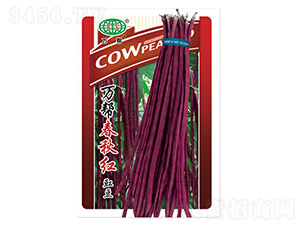 �f�ʹ���t�����N��-�f��N�I(y��)