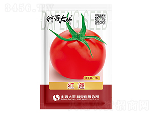 �t�\-���ѷN��-���S�N�I(y��)