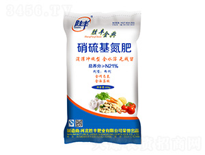 21%���������-���S���-���S�ʘI(y��)