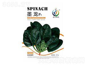 ī��-���˷N��-���ؿƼ�