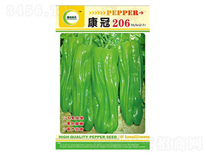 ����206-�����N��-���ؿƼ�