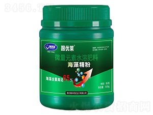 ���徫��-������