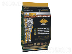 ��������ն����℩-���_(t��i)��