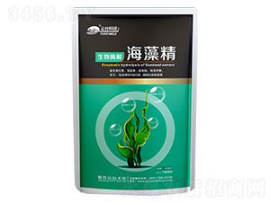 ���徫-���_(t��i)��