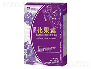 ������̥�����-������-���_��