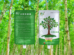 ������Һ-��Ժʿ-̫ꖼt����