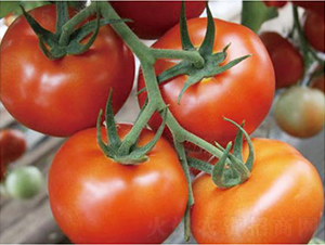 �hķ�t�\1̖-���ѷN��-�͝��r�I(y��)