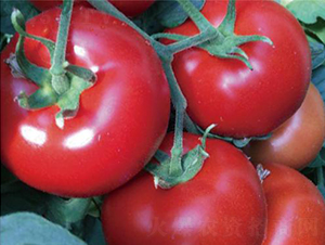 �hķ�t�\-���ѷN��-�͝��r�I(y��)