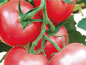 �hķ097-���ѷN��-�͝��r�I(y��)