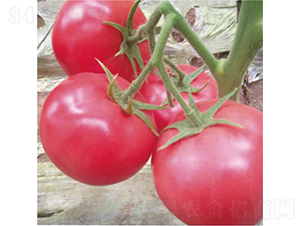 �hķ1350-���ѷN��-�͝��r�I(y��)