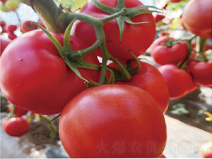 ������2155-���ѷN��-�͝��r�I(y��)