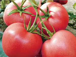 �hķ1319-���ѷN��-�͝��r�I(y��)