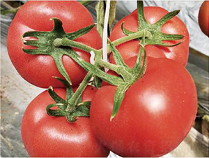 �hķ075-���ѷN��-�͝��r�I(y��)