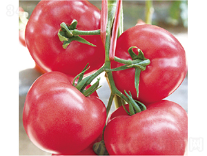 �hķ1699-���ѷN��-�͝�(r��n)�r(n��ng)�I(y��)