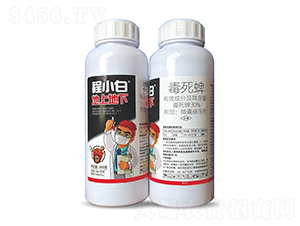 30%������΢�ґҸ���-��С�ס����ϵ���-���r(n��ng)�r(n��ng)�I(y��)