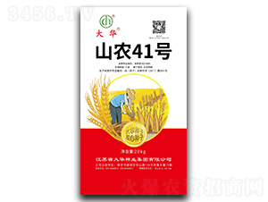 ɽ�r(n��ng)41̖-С���N��-���A�N�I(y��)