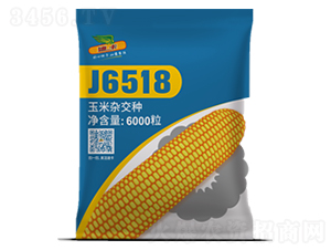 J6518-���׷N��