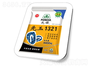 ����1321-���׷N��-�߿��r�N�I(y��)