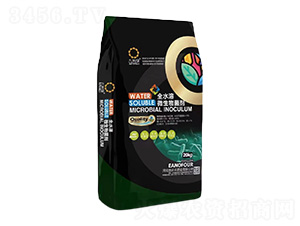 10�|ȫˮ��΢�������-��Ƭ�G-���r(n��ng)�S�ʘI(y��)