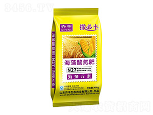 �����ᵪ��-�����S-�R�S�r�I(y��)