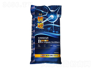 �����ЙC(j��)��-�L̼-���f�ʘI(y��)