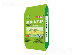 з����������ЙC��-з��g-������