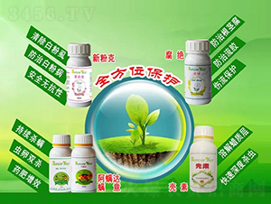 �����Ƅ�-�ѹ���