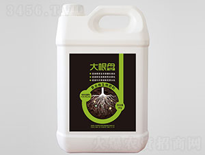 ����P(p��n)��(f��)��΢�������-��������