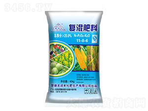 ��(f��)�����11-8-6-�����S