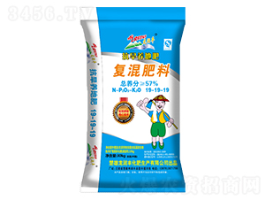 �����B(y��ng)�؏�(f��)�����19-19-19-�����S