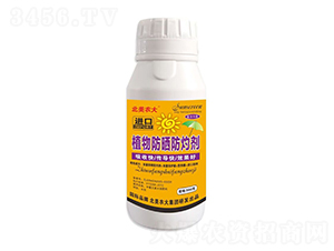 �M(j��n)��ֲ�������Ƅ�-�����r(n��ng)��