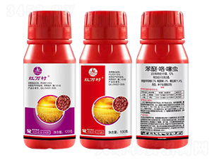 12%���ѡ��������x(ch��ng)-�l(xi��ng)�弾�L(f��ng)