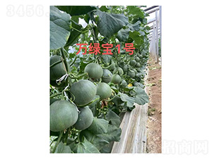 ��ϷN��-�f(w��n)�G��1̖(h��o)-���S�r(n��ng)�I(y��)