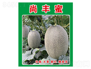 ���ܹϷN��-���S��-���S�r(n��ng)�I(y��)