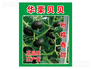 �ϹϷN��-�A��ؐؐ-���S�r(n��ng)�I(y��)