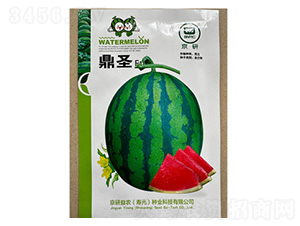 ���ϷN��-��ʥF1-���S�r(n��ng)�I(y��)