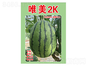 ���ϷN��-Ψ��2K-���S�r(n��ng)�I(y��)