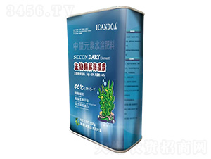 ����ø�⺣����-����