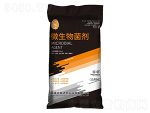 ΢�������-�r(n��ng)���_(d��)