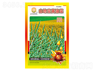 �Ͳ˷N��-ɽ�،��S�Ͳ�-̫��(l��)�N�I(y��)