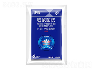 50%�������-���x-����¡����