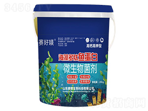 ΢�������-��������~����-�v������