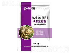 ΢�������-�������߾�-�v������